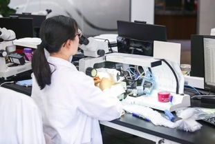 品牌缺位、真?zhèn)坞y辨、款式單一 珠寶業(yè)觸網(wǎng)求變，供應鏈是關(guān)鍵突破口